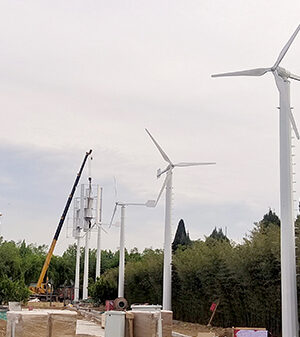 10千瓦 水平軸/垂直軸 風(fēng)力發(fā)電機(jī)