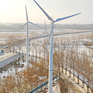 50kW 風(fēng)力發(fā)電機(jī)