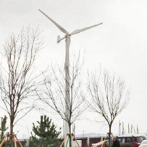 20kW 風(fēng)力發(fā)電機(jī)